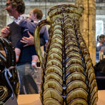 York Ceramics Fair 2018 - Doug Fitch